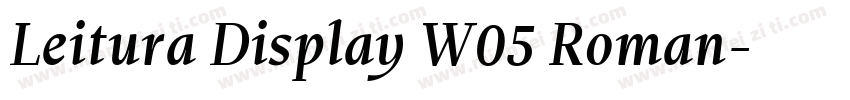 Leitura Display W05 Roman字体转换